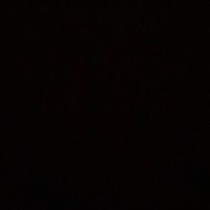 Meet your Posher, Teddy